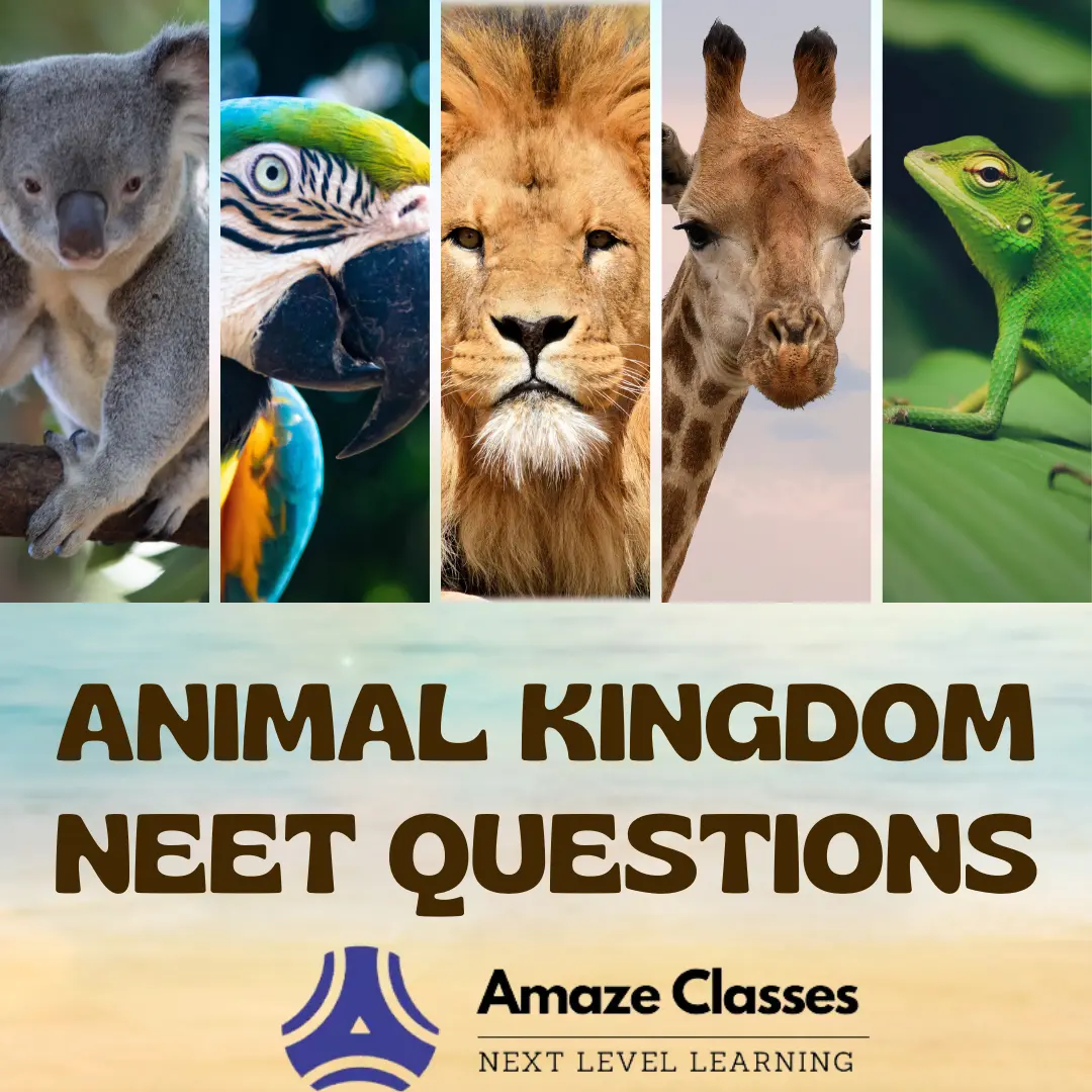 Animal Kingdom NEET Questions