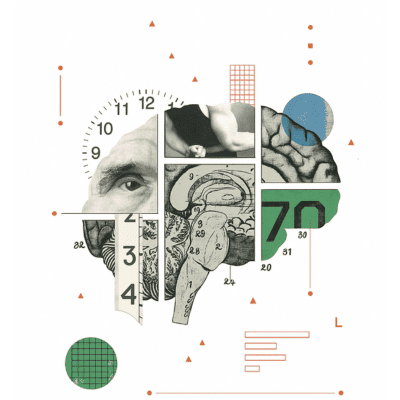 Opportunities for Academic Excellence